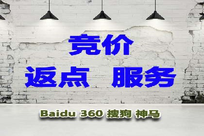 SEM推广技巧：成功案例深度剖析